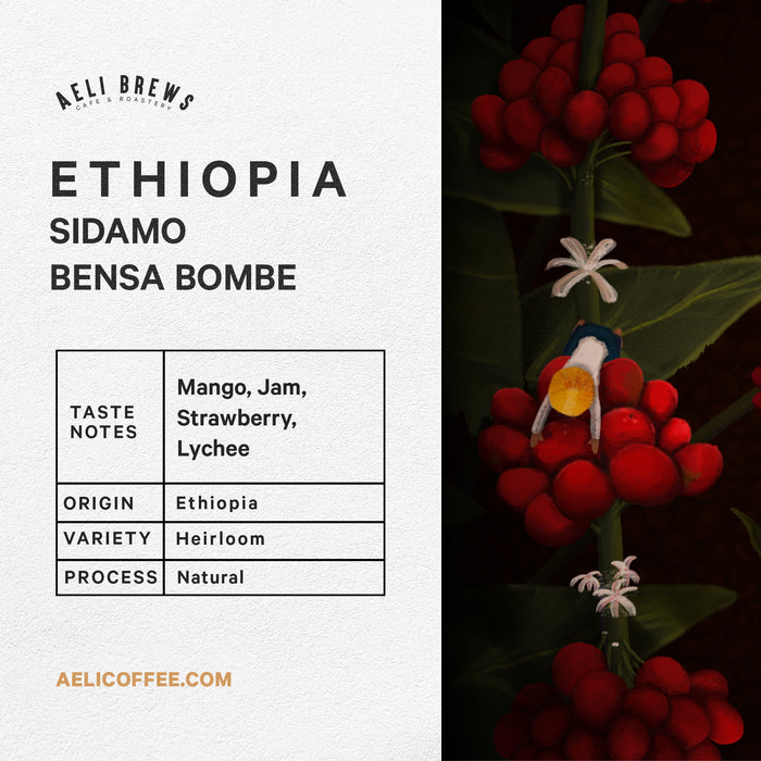 Ethiopia Sidamo Bensa Bombe Natural G1 Coffee Beans