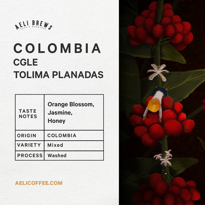 Colombia CGLE Tolima Planadas Coffee Beans