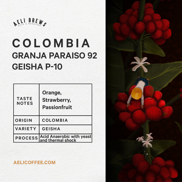 Colombia Granja Paraiso 92 Geisha P-10 Coffee Beans