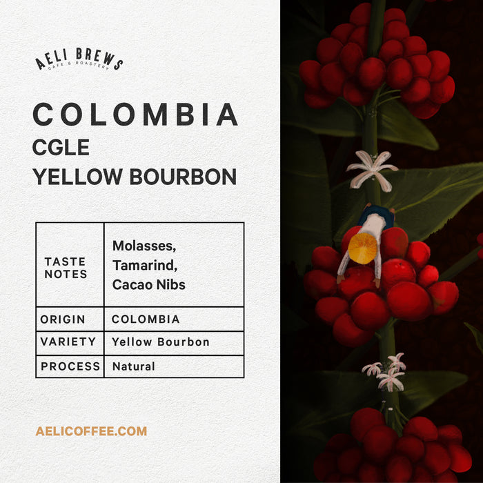 Colombia CGLE Yellow Bourbon Coffee Beans